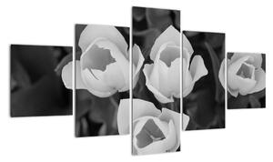 Čiernobiele kvety (Obraz 125x70cm)