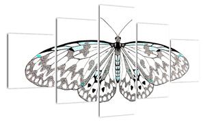 Čiernobiely motýľ (Obraz 125x70cm)
