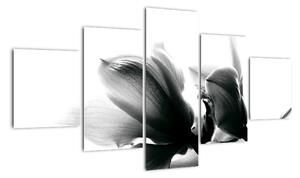 Obraz čiernobielych kvetov (Obraz 125x70cm)