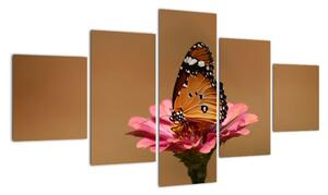 Obraz motýľa (Obraz 125x70cm)