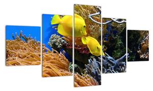 Podmorský svet - obraz (Obraz 125x70cm)