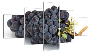 Obraz s hroznovým vínom (Obraz 125x70cm)