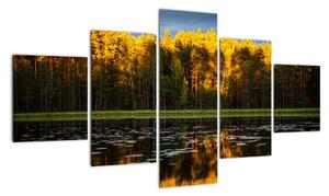 Obraz - jesenná krajina (Obraz 125x70cm)