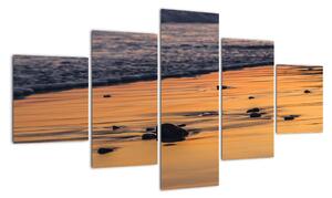 Obraz pláže na stenu (Obraz 125x70cm)
