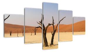 Obraz púšte (Obraz 125x70cm)