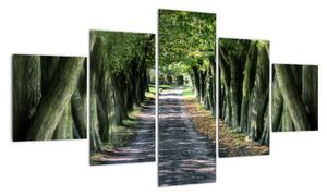 Údolie stromov, obrazy (Obraz 125x70cm)