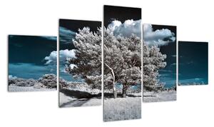 Strom v zime, obraz na stenu (Obraz 125x70cm)