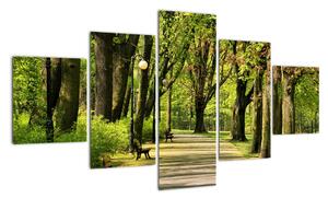 Cesta v parku - obraz (Obraz 125x70cm)
