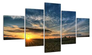 Západ slnka na poli - moderný obraz (Obraz 125x70cm)