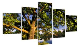 Obraz stromu (Obraz 125x70cm)