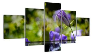 Modrá kvetina - obraz (Obraz 125x70cm)