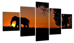Obraz slona v prírode (Obraz 125x70cm)