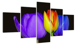 Obraz tulipánov (Obraz 125x70cm)