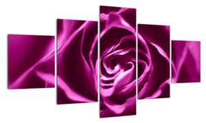 Obraz ruže (Obraz 125x70cm)