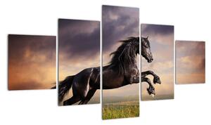 Kôň - obraz (Obraz 125x70cm)