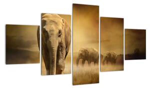 Obraz slona (Obraz 125x70cm)