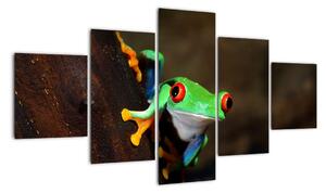 Žaba - obraz (Obraz 125x70cm)