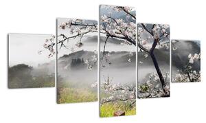 Sakura - obraz (Obraz 125x70cm)