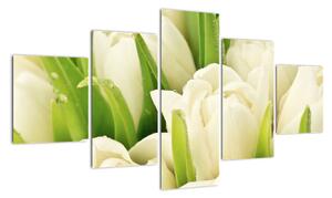 Detail tulipánov - obraz (Obraz 125x70cm)