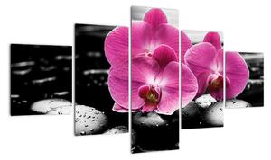 Obraz orchideí (Obraz 125x70cm)
