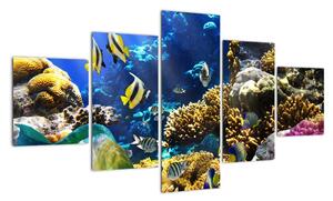 Podmorský svet - obraz (Obraz 125x70cm)