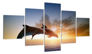 Delfíny - obraz (Obraz 125x70cm)