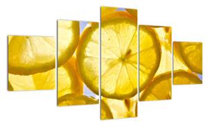 Plátky citrónov - obraz (Obraz 125x70cm)