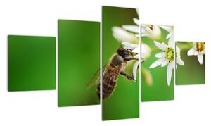 Fotka včely - obraz (Obraz 125x70cm)