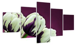 Makro tulipánov - obraz (Obraz 125x70cm)