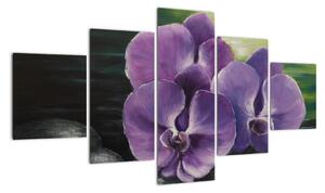 Obraz kvetov orchidey (Obraz 125x70cm)