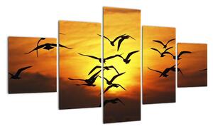 Obraz letiacich vtákov (Obraz 125x70cm)