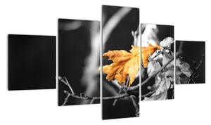 Obraz - prichádzajúce jeseň (Obraz 125x70cm)
