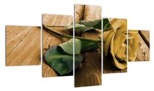 Obrazy kvetov - ruža (Obraz 125x70cm)