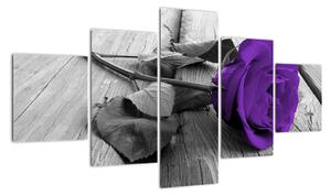 Obrazy kvetov - ruža (Obraz 125x70cm)