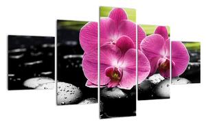 Fotka orchidey (Obraz 125x70cm)