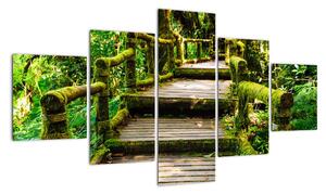 Schody v záhrade - obraz (Obraz 125x70cm)