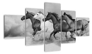 Obraz cválajúci koňov (Obraz 125x70cm)