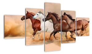 Obraz kôň (Obraz 125x70cm)
