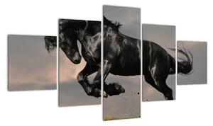 Čierny kôň, obraz (Obraz 125x70cm)