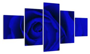 Detail modré ruže - obraz (Obraz 125x70cm)