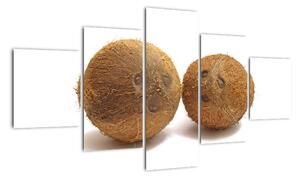 Kokosový orech, obraz (Obraz 125x70cm)