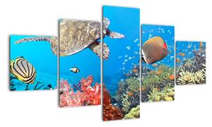 Podmorský svet, obraz (Obraz 125x70cm)