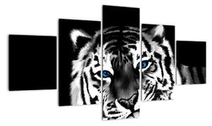 Obraz tigra s mláďaťom (Obraz 125x70cm)