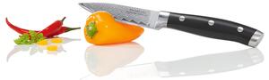 Ernesto® Nôž z damascénskej ocele (nože na zeleninu s nitovanou rukoväťou) (100339029)