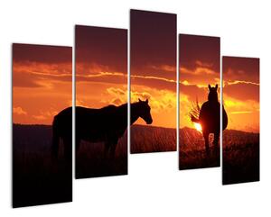 Obraz - kone pri západe slnka (Obraz 125x90cm)