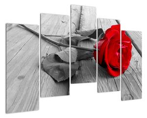 Obraz ruže s červeným kvetom (Obraz 125x90cm)