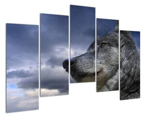 Obraz vlka (Obraz 125x90cm)