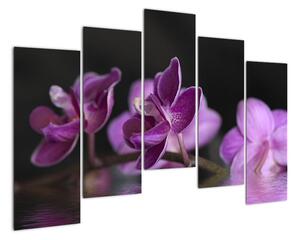 Obraz kvetov (Obraz 125x90cm)