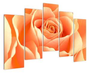 Obraz oranžové ruže (Obraz 125x90cm)