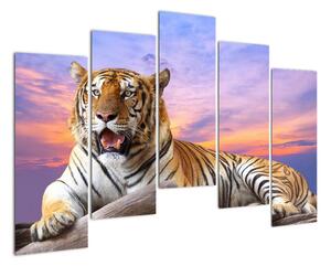Obraz ležiaceho tigra (Obraz 125x90cm)